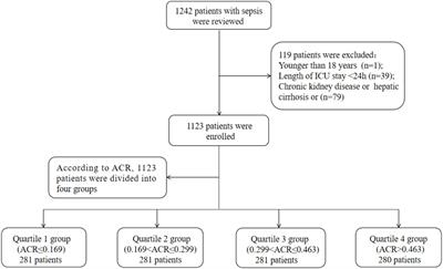 Elevated serum albumin-to-creatinine ratio as a protective factor on clinical outcomes among critically ill patients with sepsis: a retrospective study